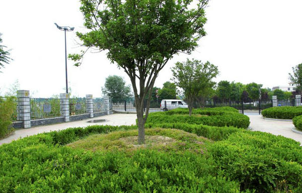 惠州清潔公司小區園林綠化